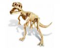 Set Excavación Dino Tyrannosaurus Rex