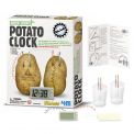 Reloj Patata