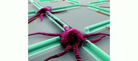 Nace el primer ordenador fabricado con neuronas
