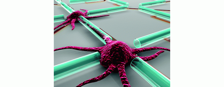 Nace el primer ordenador fabricado con neuronas