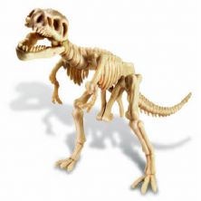 Sub foto Excavación Dino Tyrannosaurus Rex